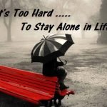 best whatsapp dp all categories